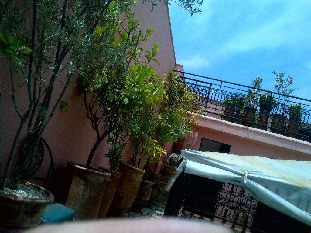 Riad Lila Marrakesh Exterior photo